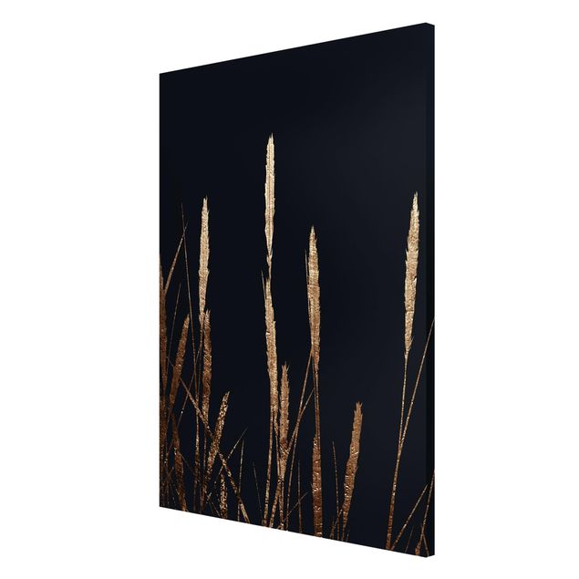 Magnettavler blomster Graphical Plant World - Golden Reed