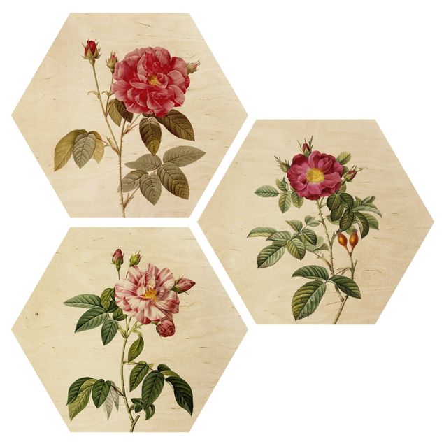 Prints på træ vintage Pierre Joseph Redouté - Roses