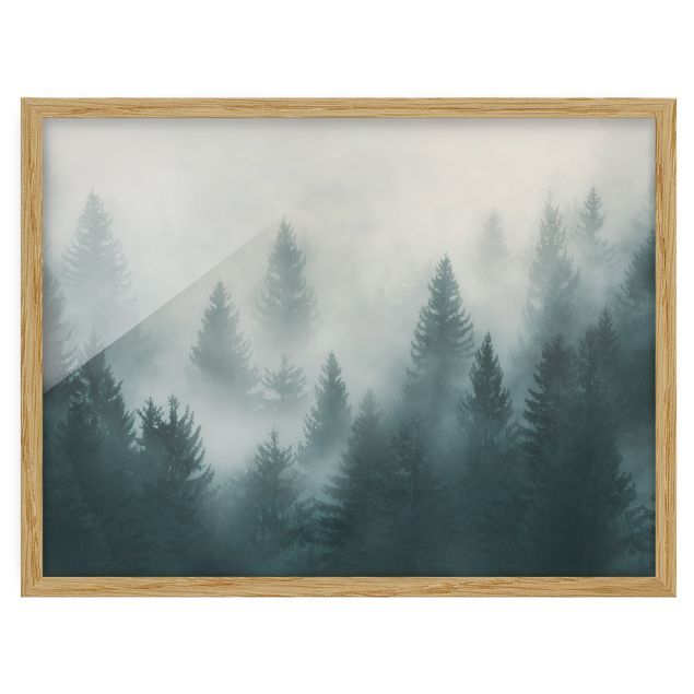 Indrammede plakater landskaber Coniferous Forest In Fog