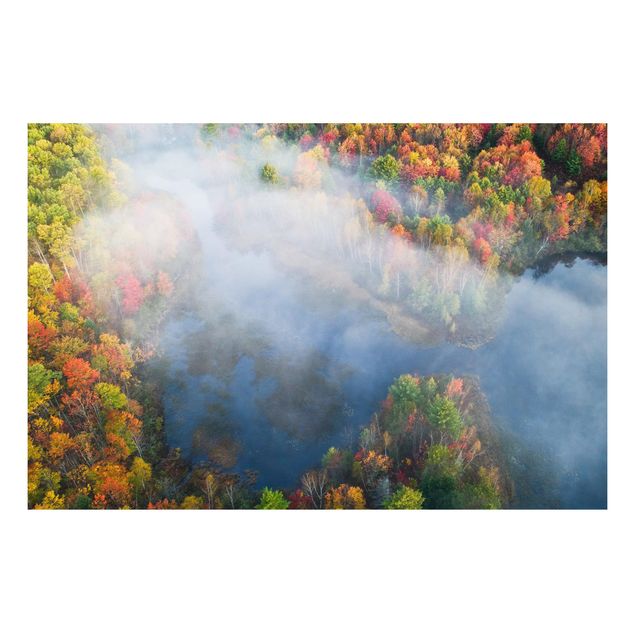 Billeder træer Aerial View - Autumn Symphony