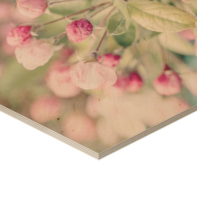 Sekskantede billeder Apple Blossom Pink Bokeh