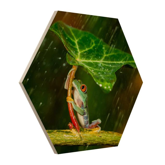 Sekskantede billeder Frog In The Rain