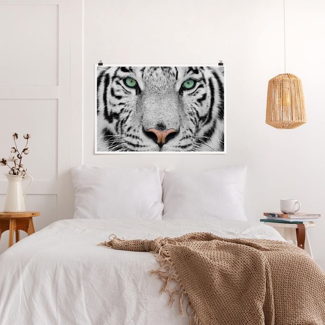 Plakater sort og hvid White Tiger