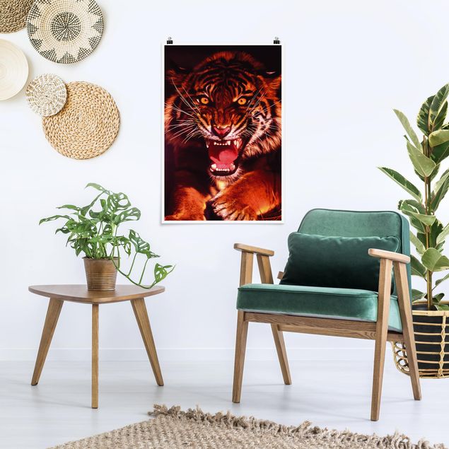 Plakater dyr Wild Tiger