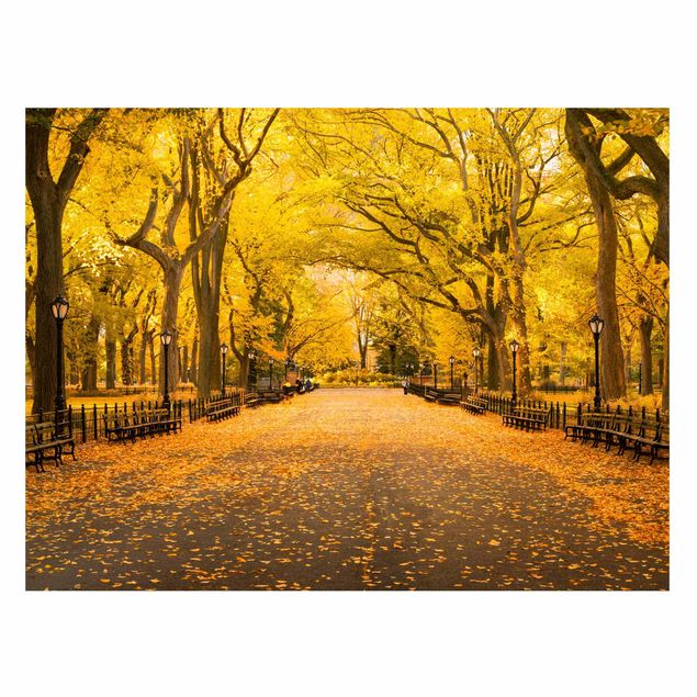 Billeder New York Autumn In Central Park