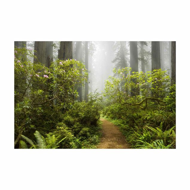 grønt gulvtæppe Misty Forest Path