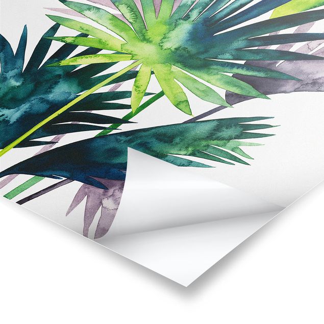 Plakater Exotic Foliage - Fan Palm