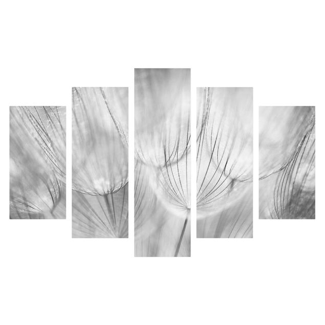 Billeder bjerge Dandelion Macro Shot In Black And White