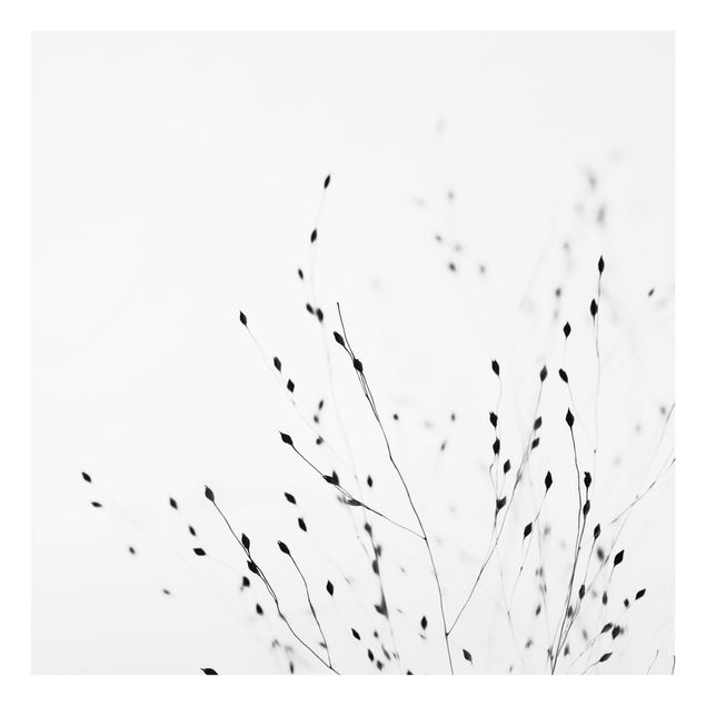 Billeder Monika Strigel Soft Grasses In Shadow