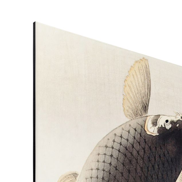 Billeder dyr Vintage Illustration Asian Fish II