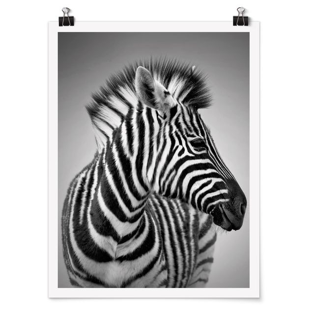 Plakater dyr Zebra Baby Portrait II