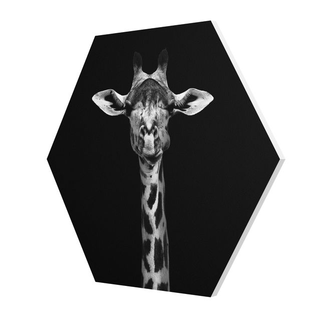 Forex Dark Giraffe Portrait