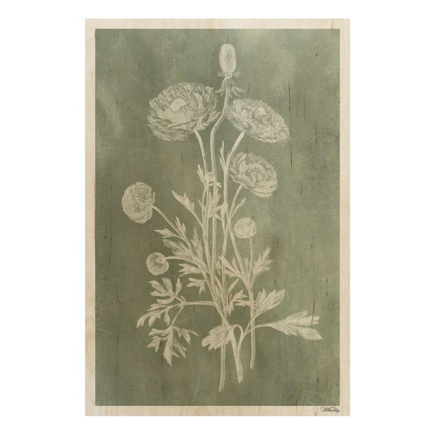 Prints på træ blomster Vintage Illustration Sage