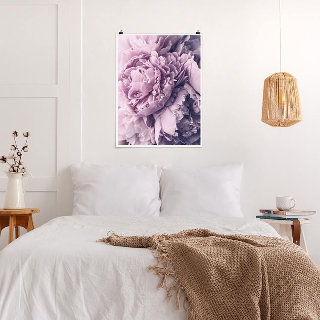 Plakater blomster Purple Peony Blossoms