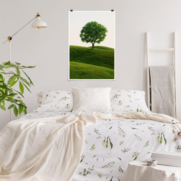 Billeder træer Green Tranquility