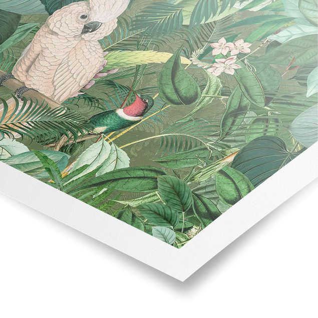 Billeder grøn Vintage Collage - Kakadu And Hummingbird
