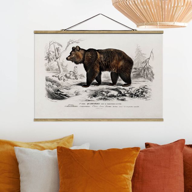 Billeder bjørne Vintage Board Brown Bear
