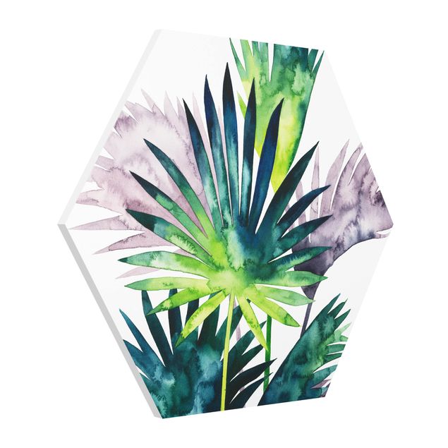 Billeder moderne Exotic Foliage - Fan Palm