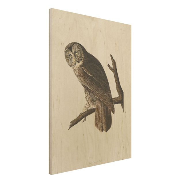 køkken dekorationer Vintage Board Great Owl