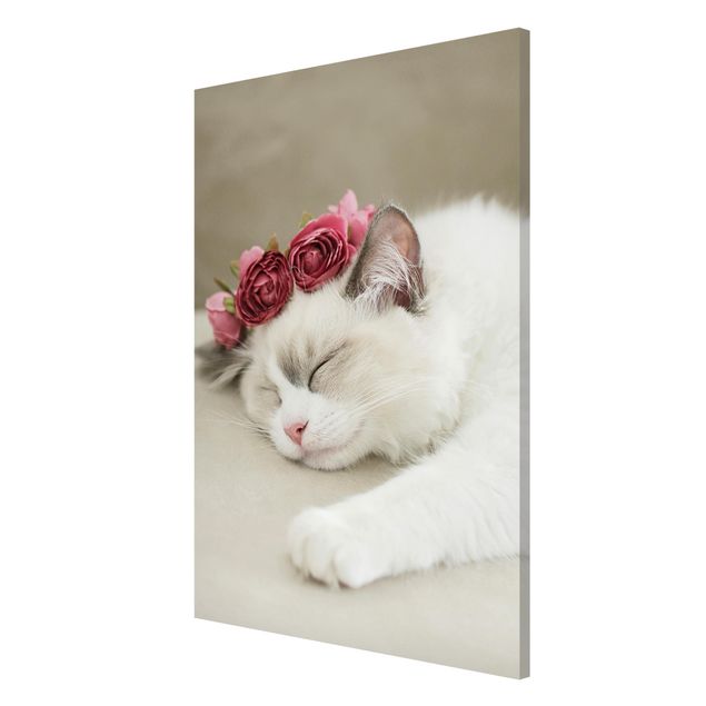 Magnettavler blomster Sleeping Cat with Roses