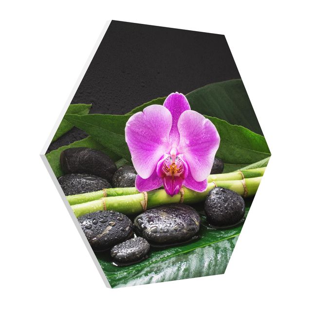 Billeder blomster Green Bamboo With Orchid Blossom