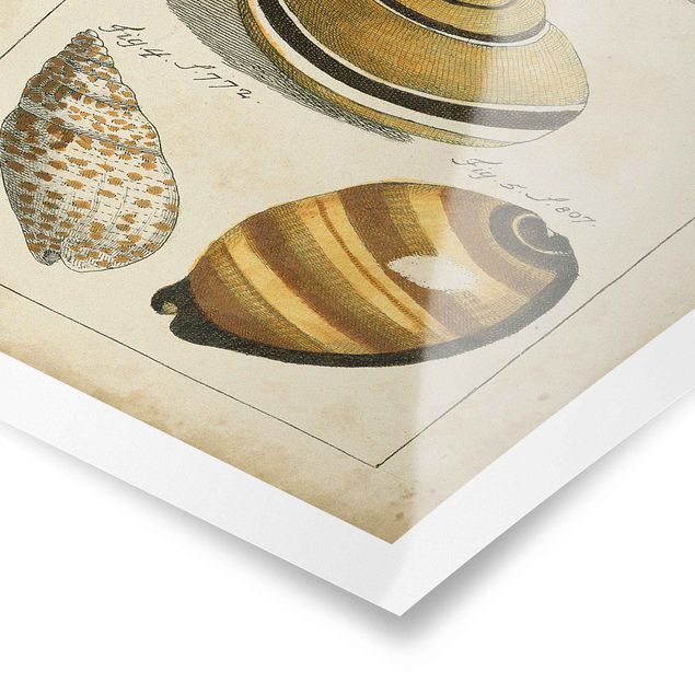 Plakater strande Vintage Worm Drawing Yellow
