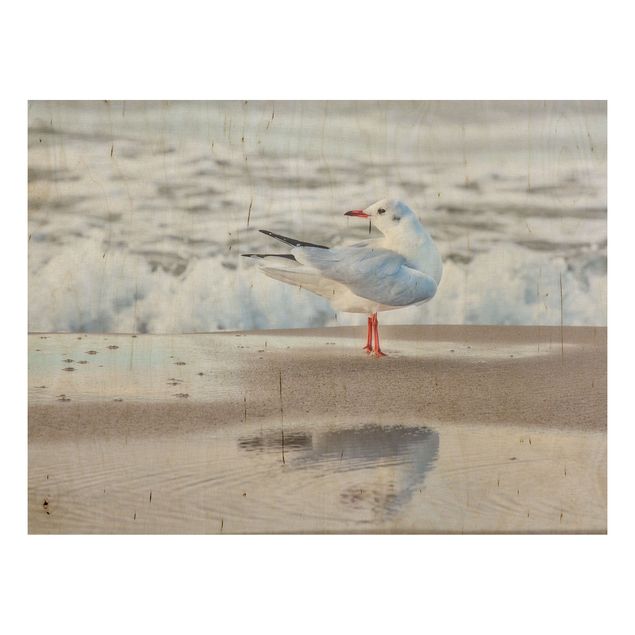 Prints på træ landskaber Seagull On The Beach In Front Of The Sea