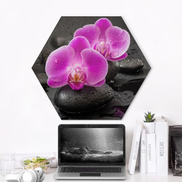 Billeder orkideer Pink Orchid Flower On Stones With Drops