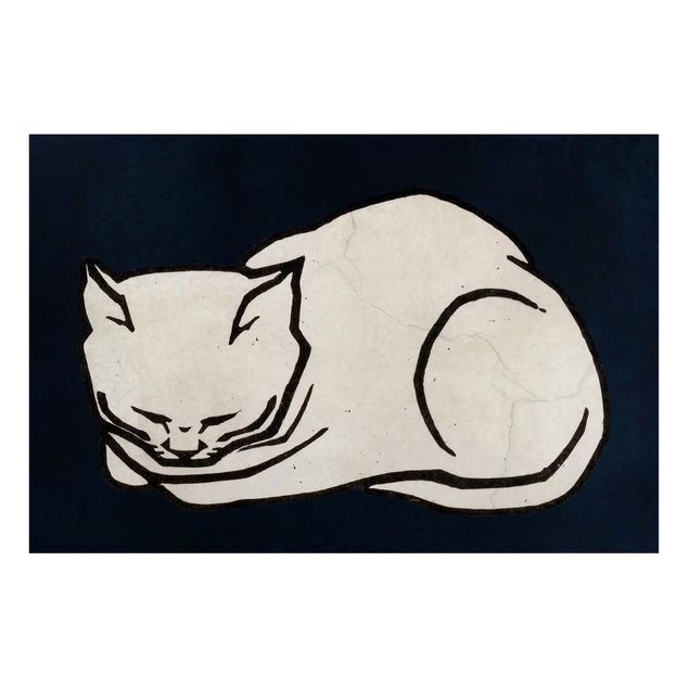 Billeder katte Sleeping Cat Illustration