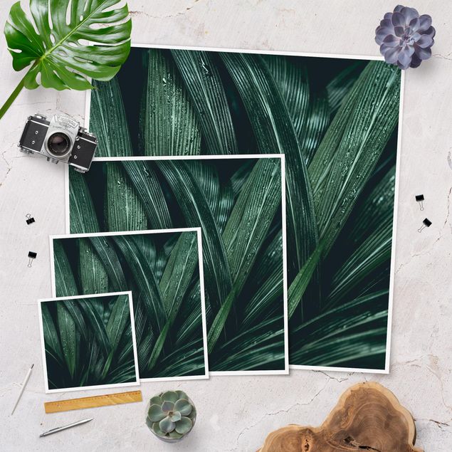 Plakater Green Palm Leaves