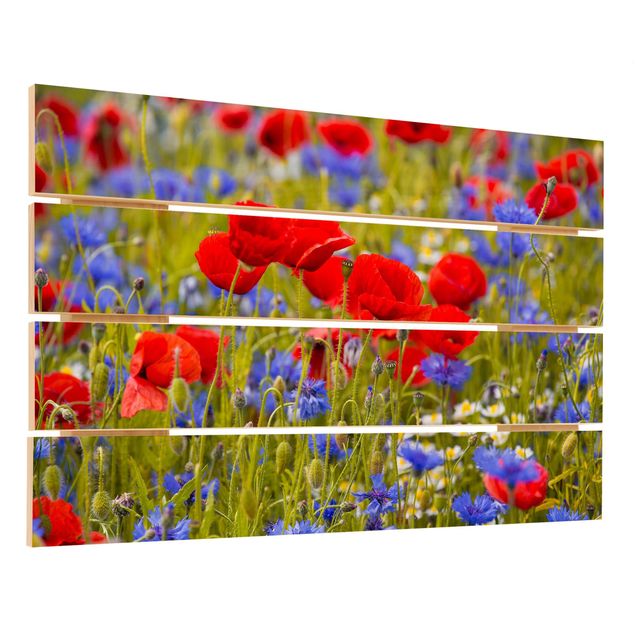Prints på træ Summer Meadow With Poppies And Cornflowers