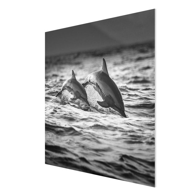 Billeder moderne Two Jumping Dolphins