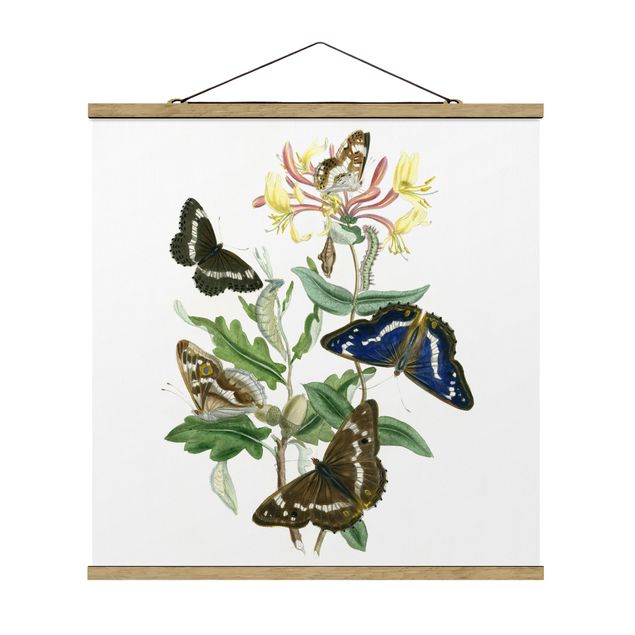 Billeder blomster British Butterflies IV