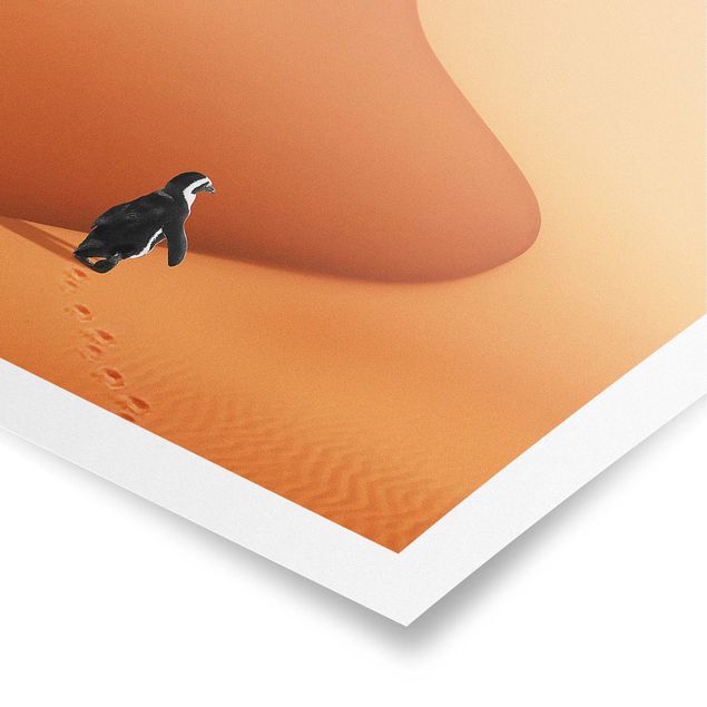 Plakater dyr Desert With Penguin