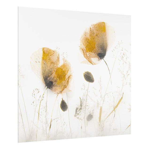 Stænkplader glas Poppy Flowers And Delicate Grasses In Soft Fog
