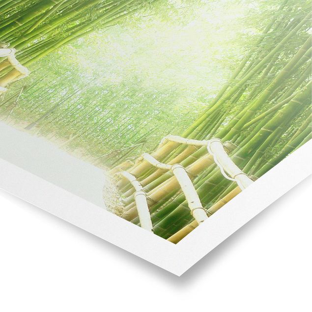 Billeder landskaber Bamboo Way