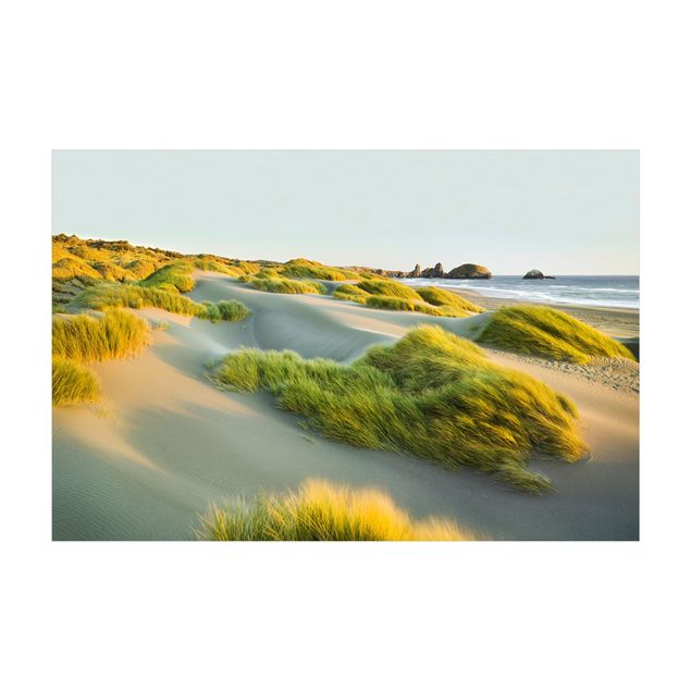 Tæpper natur Dunes And Grasses At The Sea