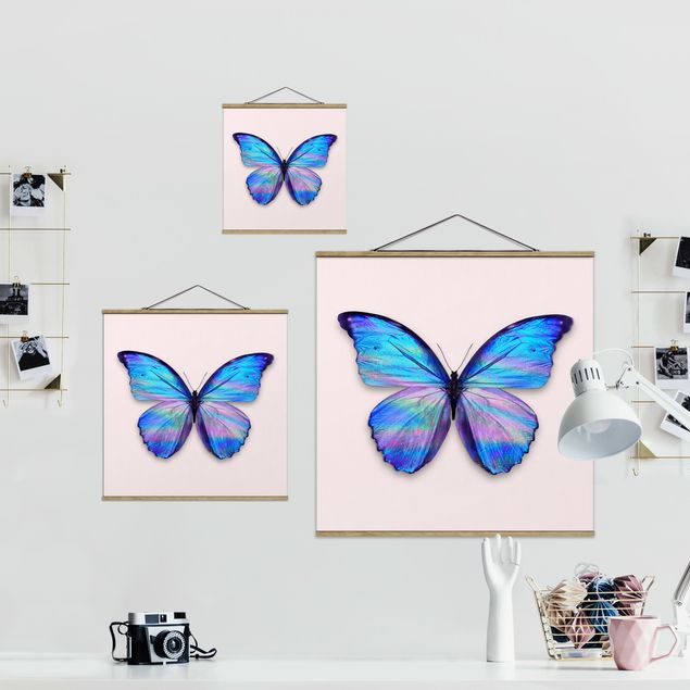 Billeder dyr Holographic Butterfly
