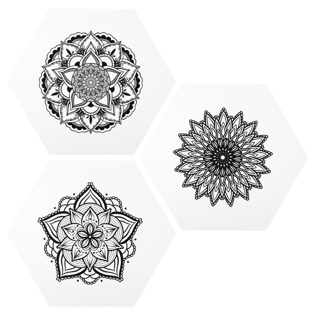 Billeder spirituelt Mandala Flower Sun Illustration Set Black And White