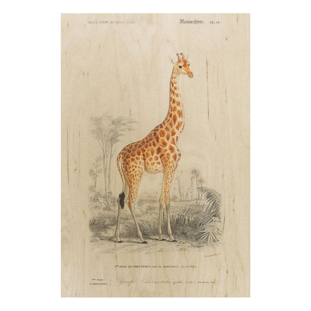 Prints på træ vintage Vintage Board Giraffe