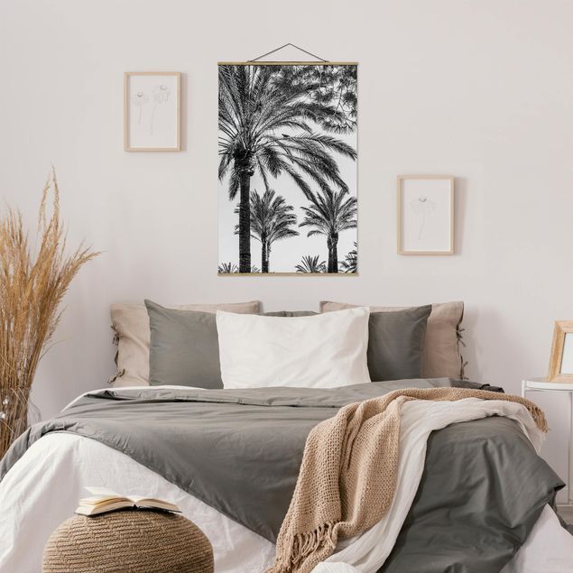 Billeder landskaber Palm Trees At Sunset Black And White