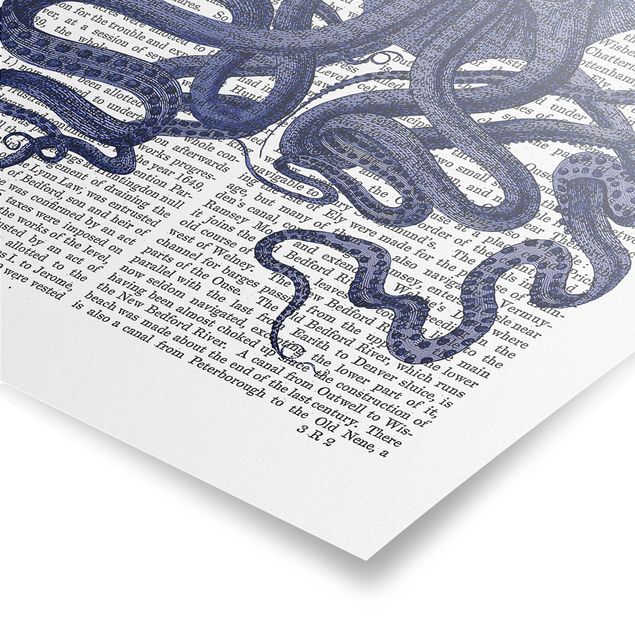 Billeder blå Animal Reading - Octopus