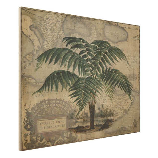 køkken dekorationer Vintage Collage - Palm And World Map