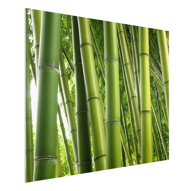 køkken dekorationer Bamboo Trees No.1