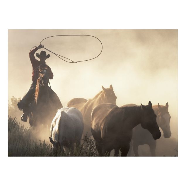 Billeder portræt Cowboy silhouette