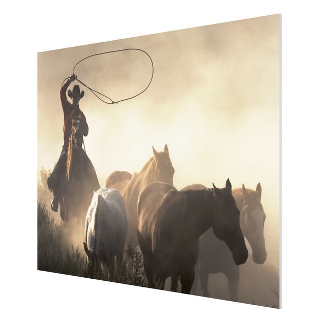 Billeder moderne Cowboy silhouette