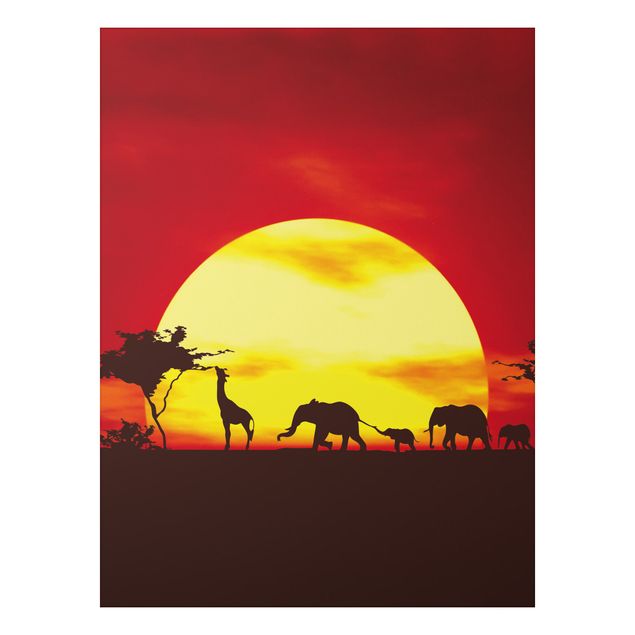 Billeder elefanter No.CG80 Sunset Caravan