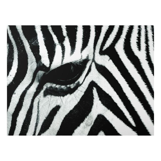 Billeder zebraer Zebra Crossing No.2