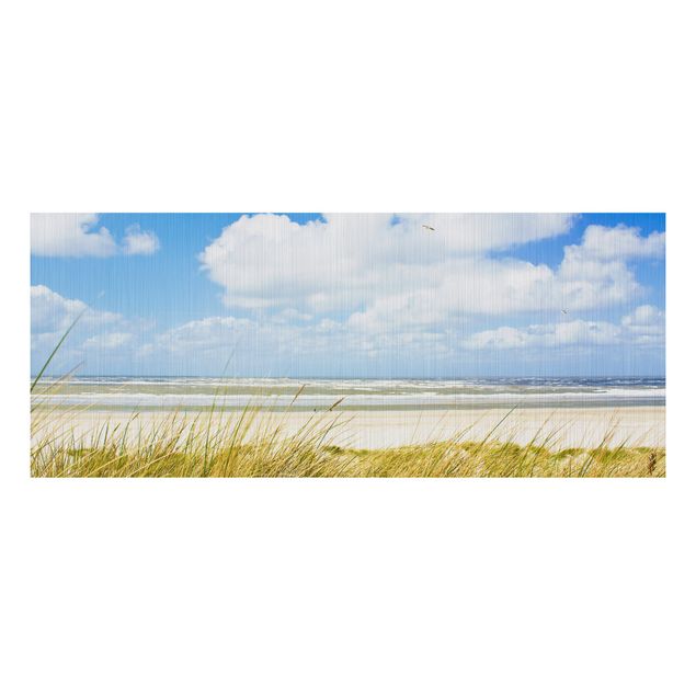 Billeder landskaber On the North Sea coast panorama