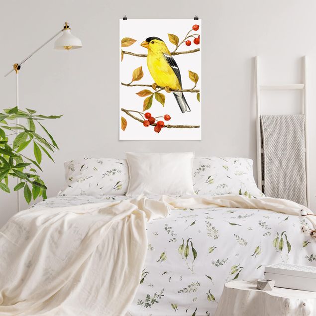 Plakater vintage Birds And Berries - American Goldfinch